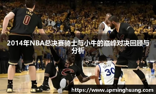 2014年NBA总决赛骑士与小牛的巅峰对决回顾与分析